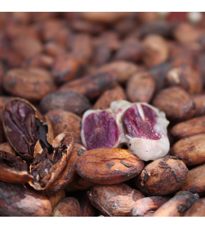 Chocolat 71% de plantation Sao Tomé